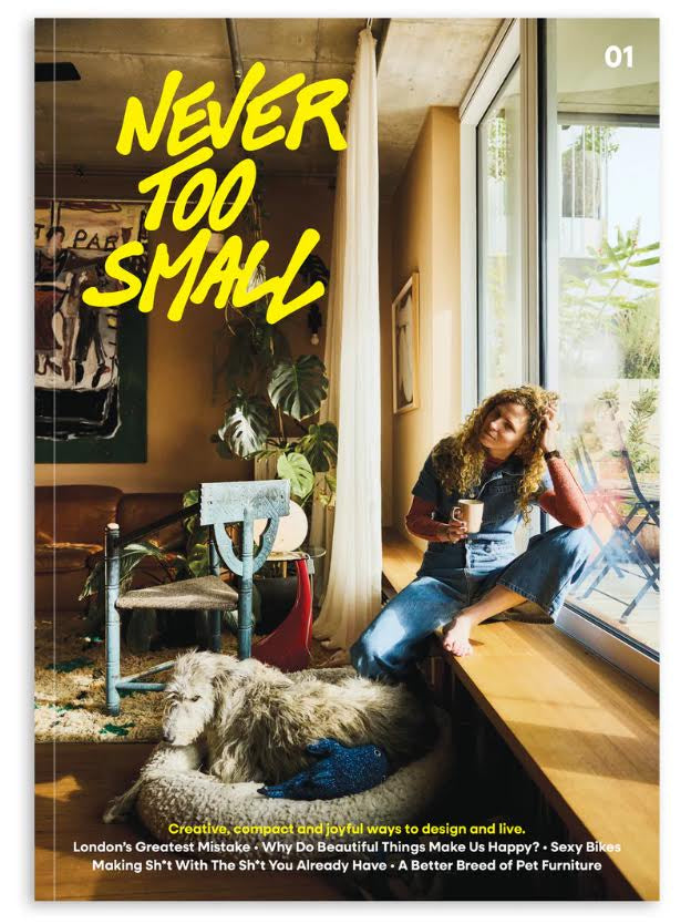 Never Too Small Issue 1