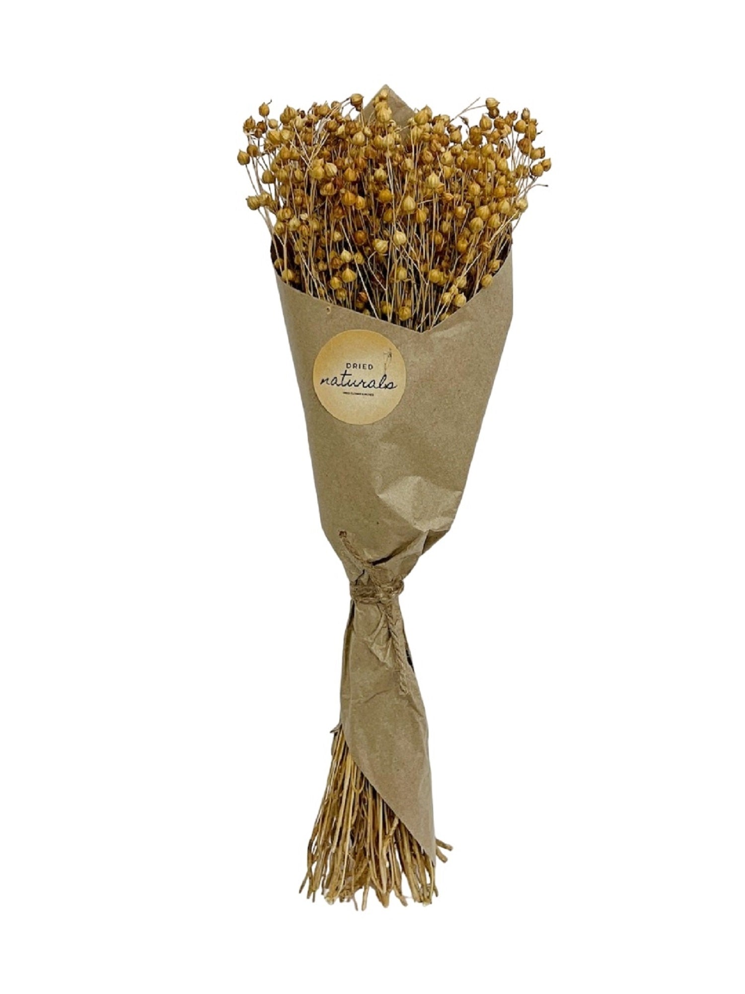 Teesi Grass in Craft Paper Wrap Natural H 19.7"-