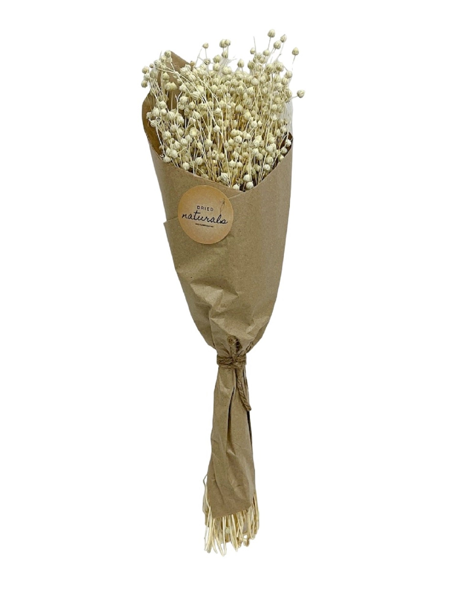 Teesi Grass in Craft Paper Wrap Natural H 19.7"-