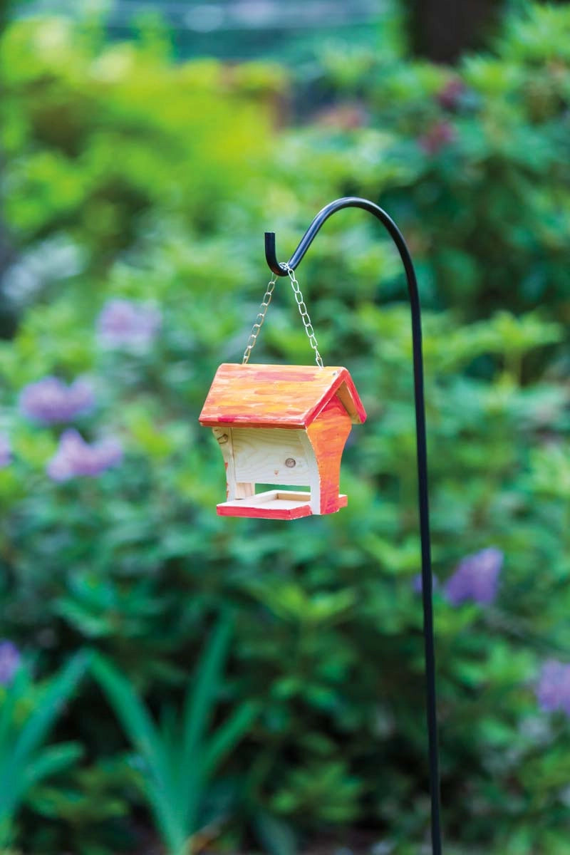 Beetle & Bee Paint A Bird House