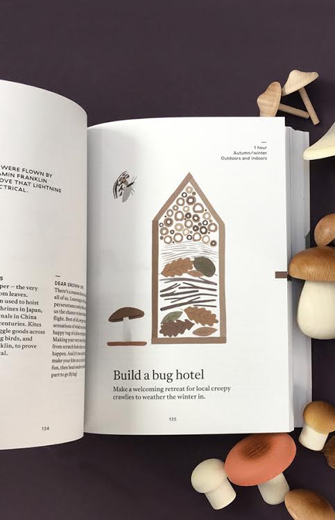 The Nature of Play: A Handbook of Nature-Based Activities for all Seasons