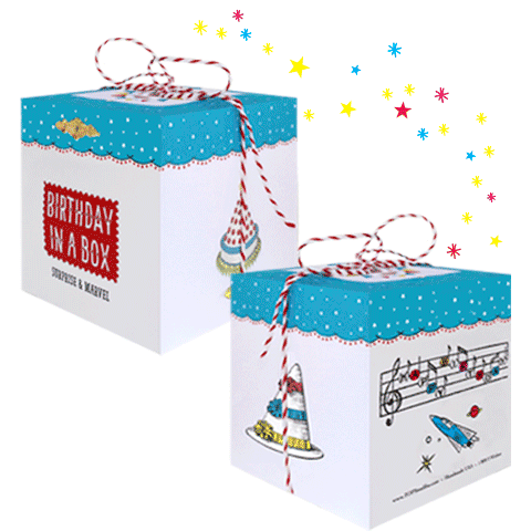 Birthday in a Box