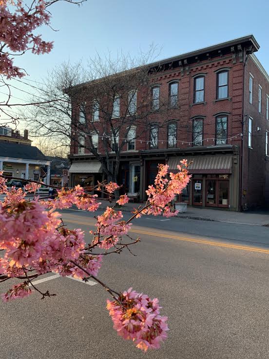Spring has sprung here in Frenchtown!