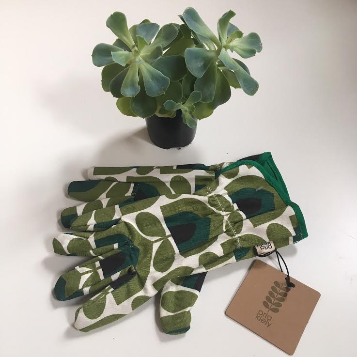 Spring is finally here!