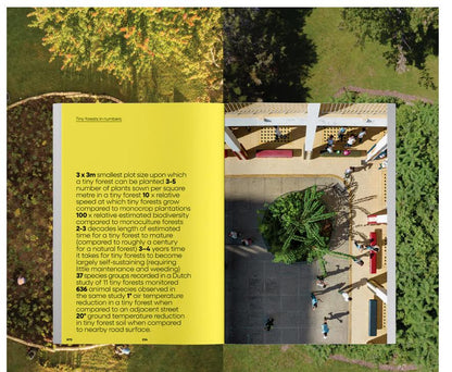 Never Too Small Issue 1