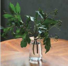 Luna Vase