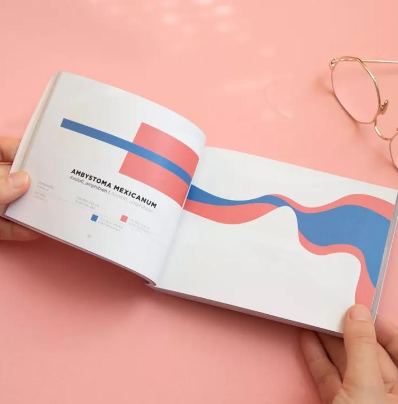 Papier Tigre Color Inspiration Book: Volume 2