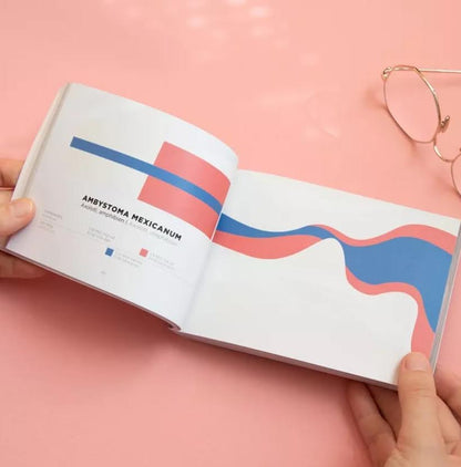 Papier Tigre Color Inspiration Book: Volume 2