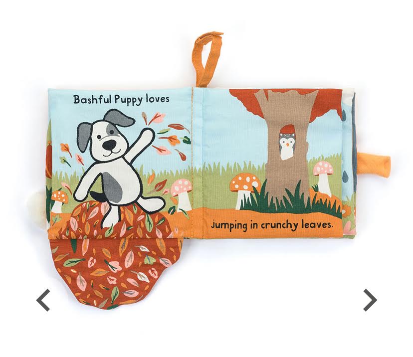 Bashful Puppy Loves You Book