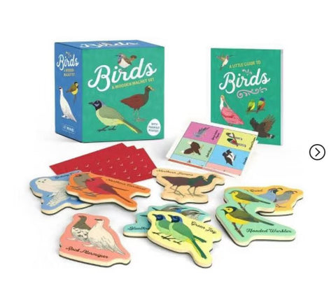 Birds: A Wooden Magnet Set