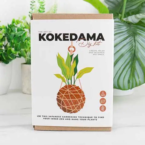 The Art of Kokedama- DIY Kit