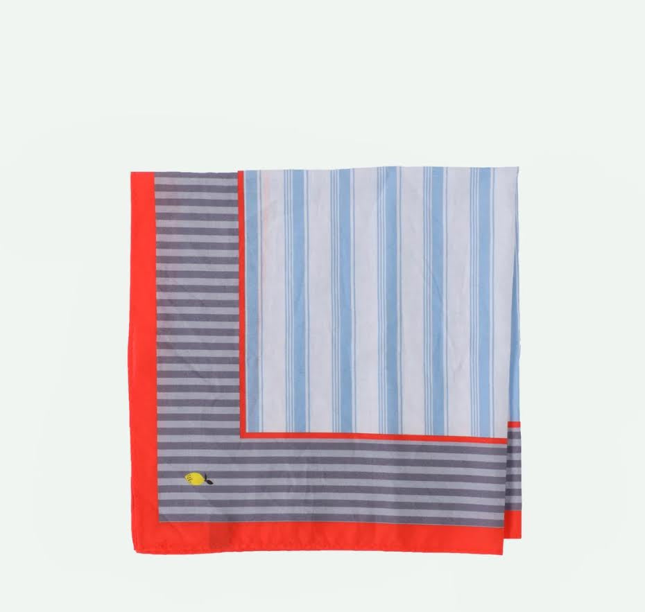 Sticky Lemon Scarf Blue & Blue Whale