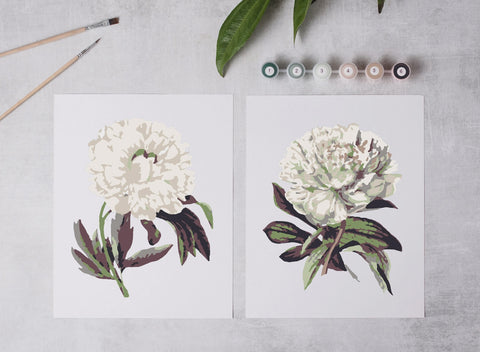 Peony Blossoms Paint-By-Numbers Kit