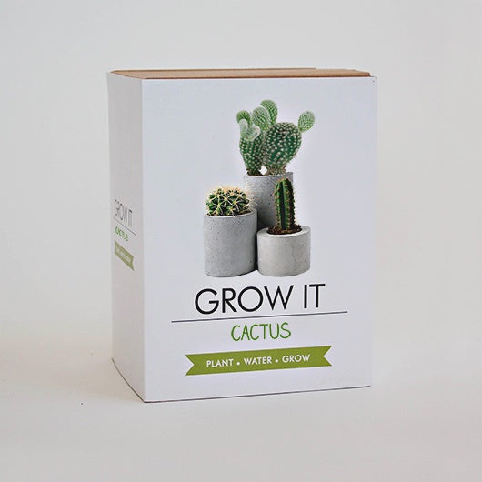 Cactus Grow Kit