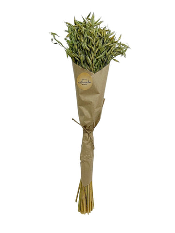 Avana Grass in Craft Paper Wrap Moss Green H 23.6