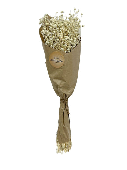 Teesi Grass in Craft Paper Wrap Natural H 19.7"-