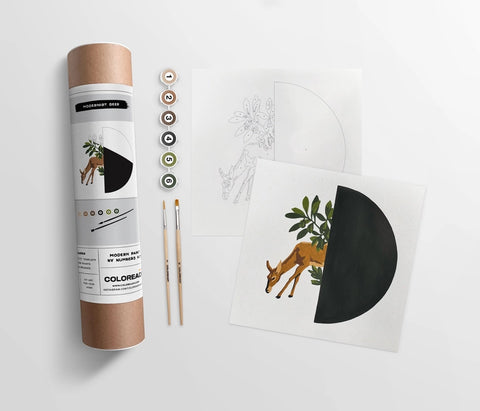 Coloready Modernist Deer Modern Paint by Numbers Kit