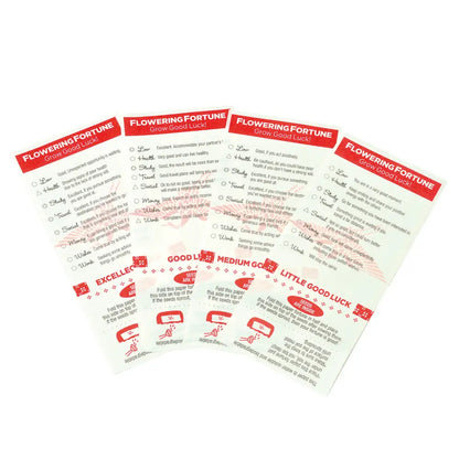 Flowering Fortune- Beckoning Cat