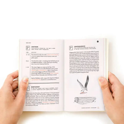 Wildsam New England Field Guide