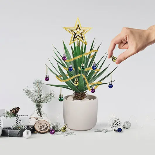 Festive Plant Baubles - Mini Christmas Tree Decorations