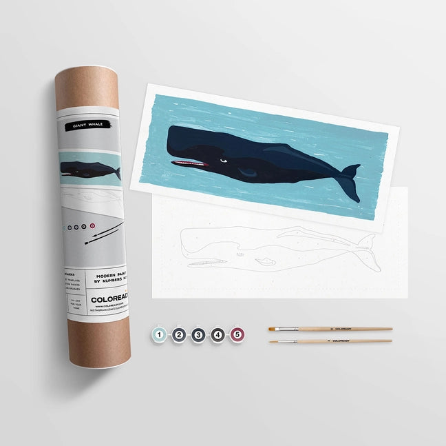 Coloready Giant Whale Paint by Number Kit