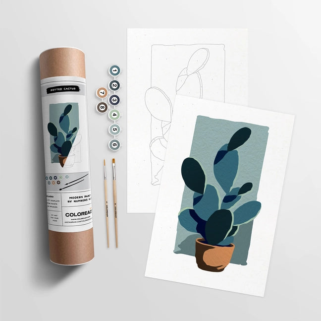 Coloready Potted Cactus Modern Paint By Numbers Kit