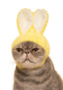 Kitan Club Cat Cap Blind Box - Rabbit