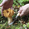 Opinel Mushroom Knife