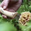 Opinel Mushroom Knife