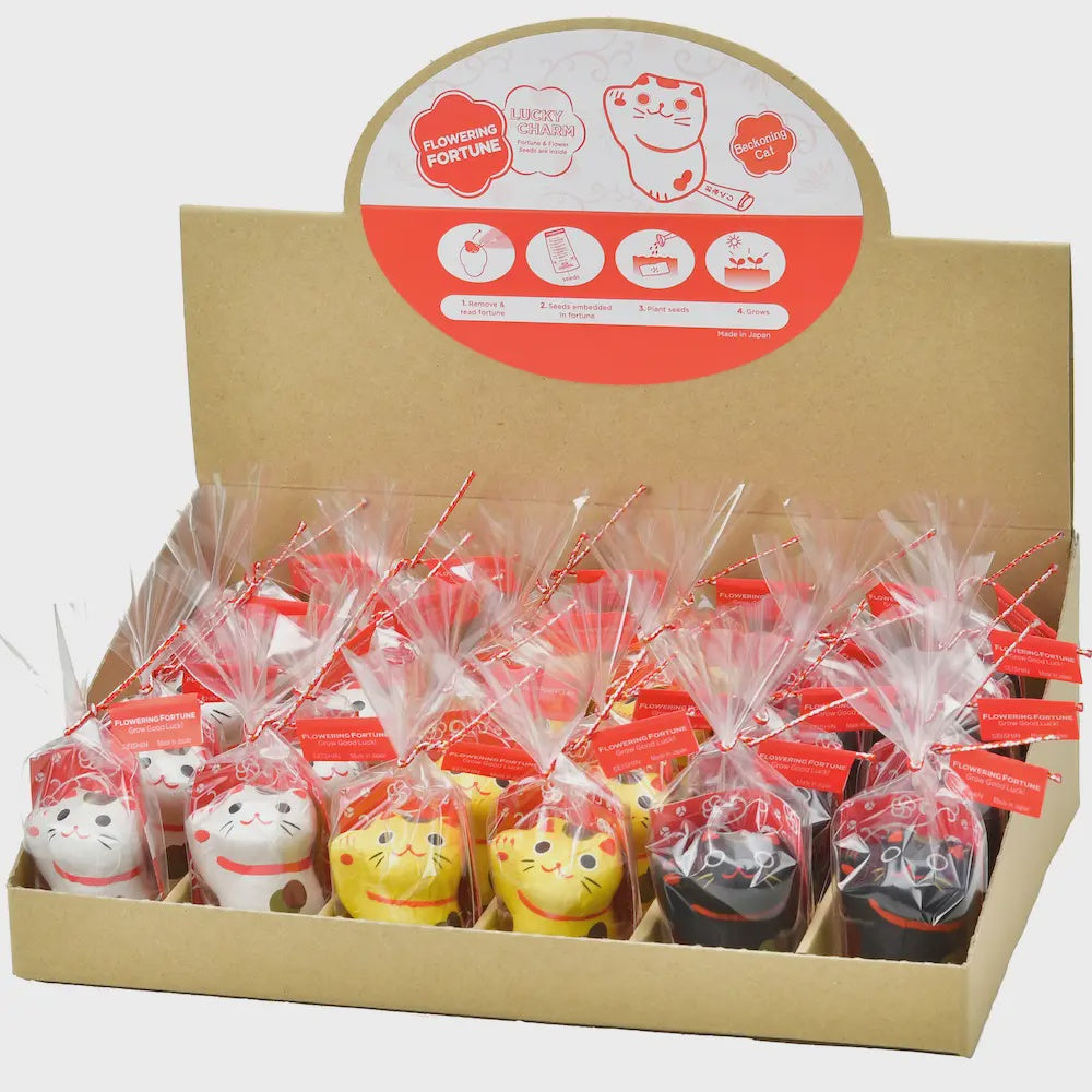 Flowering Fortune- Beckoning Cat