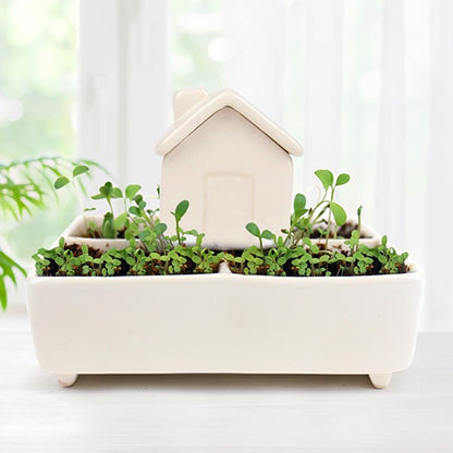 Self Watering House