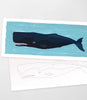 Coloready Giant Whale Paint by Number Kit