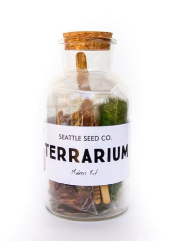 DIY Terrarium Kit