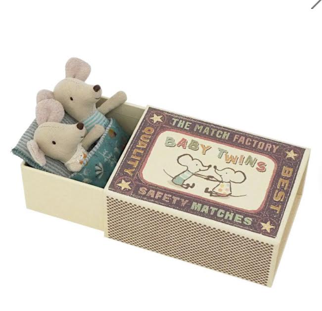 Baby Twin Mice in a Box