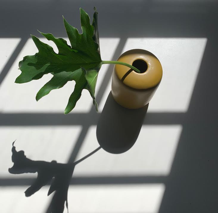 Yellow Vase
