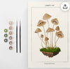 Coloready Mushroom Botanical Modern Paint by Numbers Kit