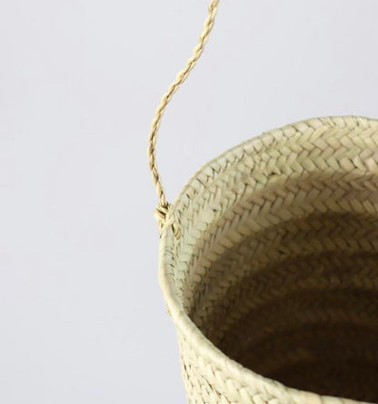 Sequoia Straw Plant Hanger