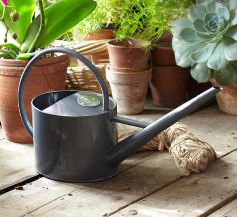 Sophie Indoor Watering Can