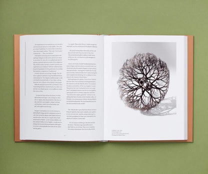 Everything She Touched: The Life of Ruth Asawa