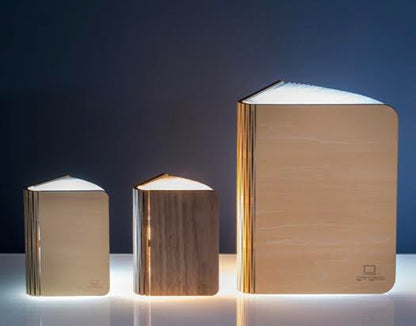 Gingko Large Smart Book Light