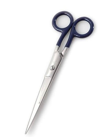 Stainless Scissors