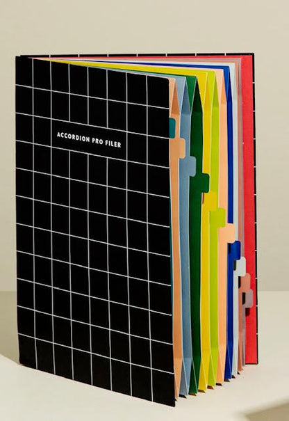 Accordion Pro Filer- Small