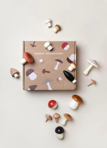 Forest Mushrooms in a Box