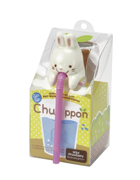 Chuppon