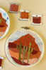 Cactus Desert Embroidery Kit