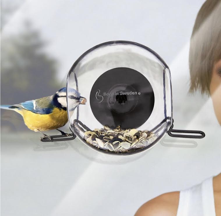 Born in Sweden Bird Feeder