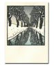 Saturn Press Snow Stream Boxed Holiday Cards
