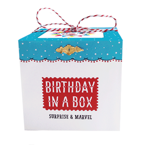 Birthday in a Box