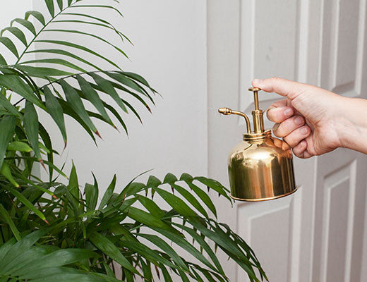 Brass Plant Mister